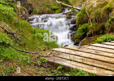 Pont en bois avec petite cascade entouré d'une végétation luxuriante dans le canyon de Gjain dans la vallée de Þjórsárdalur, Islande, longue exposition. Banque D'Images