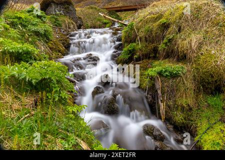 Petite cascade avec de l'eau qui coule sur les pierres entourées d'une végétation verdoyante dans le canyon de Gjain dans la vallée de Þjórsárdalur, Islande, longue exposition. Banque D'Images