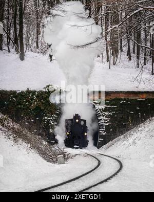 Budapest, Hongrie - scène forestière hivernale avec moteur à vapeur nostalgique sortant du tunnel de la forêt enneigée de Buda Hills près de Huvosvolgy Banque D'Images