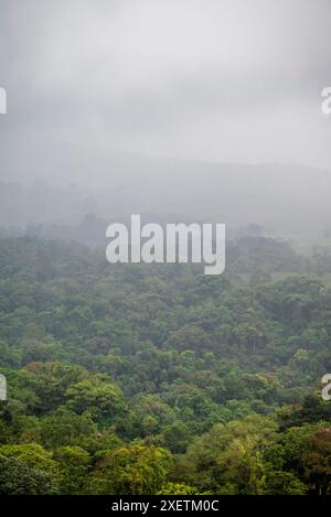 Parc national du volcan Arenal, Costa Rica, Amérique centrale Banque D'Images