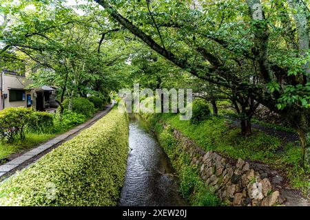 Le chemin des philosophes, un sentier de randonnée célèbre pour les cerisiers en fleurs, dans le quartier de Higashiyama, ville de Kyoto, Japon Banque D'Images