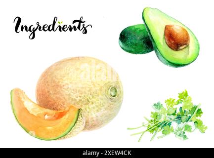 Illustration aquarelle d'avocat, de cantaloup et de coriandre pour un concept culinaire frais Banque D'Images