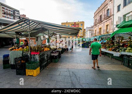 Fruits frais légumes au marché de rue Mercado de Abastos ou Mercado Ingeniero Torroja ou marché des aliments frais à Algeciras, Espagne. Banque D'Images