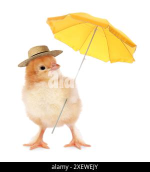 Mignon poussin moelleux avec chapeau de paille et parasol jaune isolé sur blanc Banque D'Images