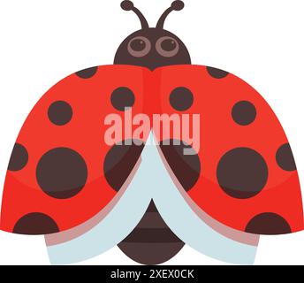 Coccinelle mignonne ouvrant ses ailes sur fond blanc Illustration de Vecteur