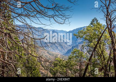 Vue panoramique encadrée sur le parc national de Kings Canyon Banque D'Images