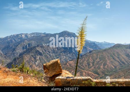 Vue panoramique encadrée sur le parc national de Kings Canyon Banque D'Images