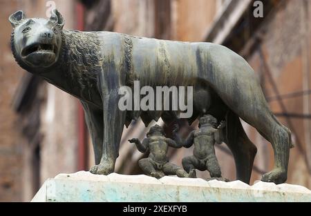 Loup Capitolin sur la Piazza del Campidoglio. Rome. Italie Banque D'Images