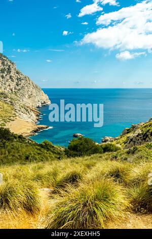 Sur le chemin du point culminant sur la belle île des Baléares Majorque - Cap de Formentor - Espagne Banque D'Images