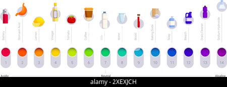 Jeu d'icônes d'échelle de pH. Infographie colorée montrant l'échelle de ph avec des substances courantes allant de la batterie acide à l'hydroxyde de sodium alcalin Illustration de Vecteur