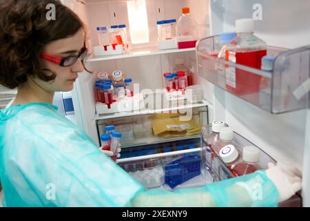Milieux de culture cellulaire en réfrigérateur, unité de culture cellulaire, recherche en oncologie et médecine régénérative, Biodonostia Health and Biomedicine Research Institute Banque D'Images