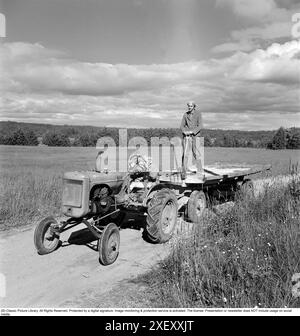 L'été dans les années 1940 Le père a ses deux garçons derrière le volant du tracteur Allis-Chalmers et se tient sur le wagon derrière lui, l'air fier et sans peur. Les garçons de la campagne ont grandi légèrement différent des enfants de la ville, conduisant des tracteurs et essayant des choses à un jeune âge comme les adultes le faisaient normalement. 1949 Kristoffersson. Réf. AR110-2 Banque D'Images