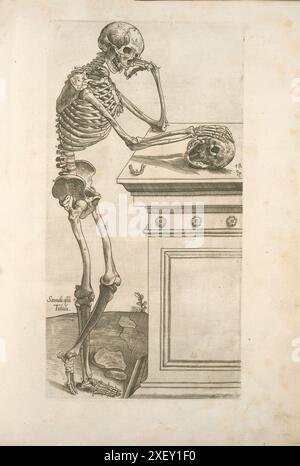 Tableau de Secunda ossium.Squelette humain inspectant un crâne et dans la pensée profonde.1545 par Thomas Geminus, d.1562 (auteur) Banque D'Images