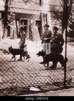 Photo vintage de la crise de Berlin de 1961 : construction du mur chasse à l'homme - les gardes-frontières est-allemands utilisent des chiens pour traquer les évadés qui tentent de traverser le «no man's» vers la liberté dans le secteur ouest de Berlin divisé. Le régime communiste a évacué de force les résidents des maisons le long de la frontière pour réduire encore le nombre de réfugiés, dont certains sont toujours en cours de route malgré toutes les contre-mesures. Octobre 1961 Banque D'Images