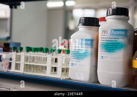 Laboratoire de microbiologie. AZTI-Tecnalia. Centre technologique spécialisé dans la recherche marine et alimentaire. Sukarrieta, Bizkaia, Euskadi. Espagne. Banque D'Images