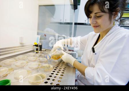 Hottes à flux laminaire. Laboratoire de microbiologie. Analyse microbiologique des aliments. AZTI-Tecnalia. Centre technologique spécialisé en Rese Marine et alimentaire Banque D'Images