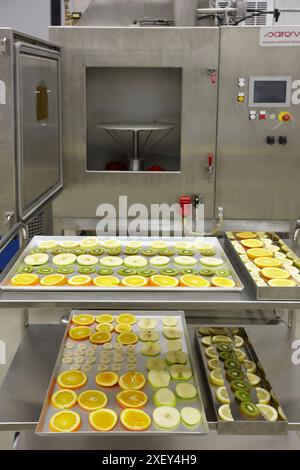 Equipements micro-ondes, usine pilote, AZTI-Tecnalia, Centre technologique pour la recherche marine et alimentaire, Derio, Biscaye, pays Basque, Espagne Banque D'Images