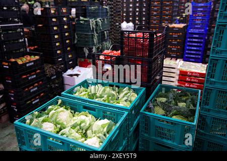 Fruits et légumes Mercabilbao, marché de gros de Basauri, Bilbao, Biscaye, Pays Basque, Espagne. Banque D'Images