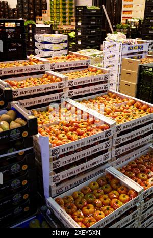 Les tomates, les fruits et légumes Mercabilbao, marché de gros de Basauri, Bilbao, Biscaye, Pays Basque, Espagne. Banque D'Images