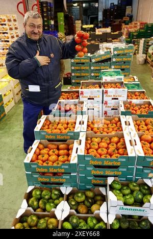 Les tomates, les fruits et légumes Mercabilbao, marché de gros de Basauri, Bilbao, Biscaye, Pays Basque, Espagne. Banque D'Images