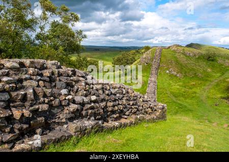 Section du mur d'Hadrien à Walltown Crags, Northumberland, Angleterre. Banque D'Images