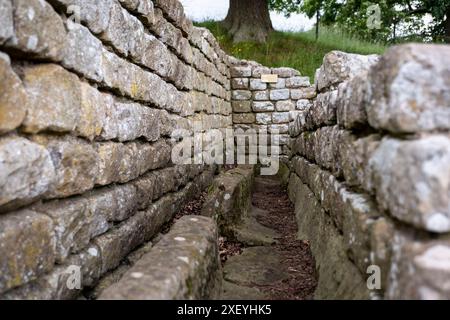 Les latrines de la maison de bains romaine, Chesters (Cilurnum) Fort romain. Chollerford, Hexham, Northumberland, Angleterre. Banque D'Images