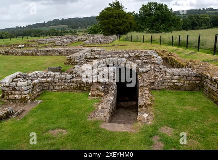 Entrée de la salle forte à Chesters (Cilurnum) Fort romain. Chollerford, Hexham, Northumberland, Angleterre. Banque D'Images