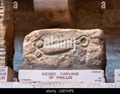 Artefacts à l'intérieur du musée au fort romain de Chesters (Cilurnum). Chollerford, Hexham, Northumberland, Angleterre. Banque D'Images