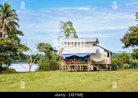 Bâtiment résidentiel communal typique en bois sur pilotis dans la lointaine communauté Pilchi sur la rivière Napo (un affluent de l'Amazone), Équateur, Amérique du Sud Banque D'Images