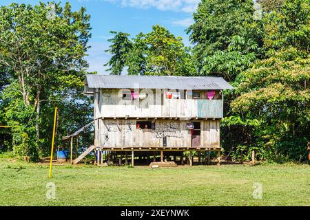 Bâtiment résidentiel communal typique en bois sur pilotis dans la lointaine communauté Pilchi sur la rivière Napo (un affluent de l'Amazone), Équateur, Amérique du Sud Banque D'Images