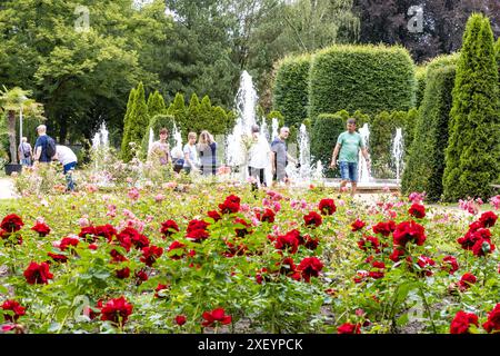 30 juin 2024, Brandenburg, Forst (Lausitz) : les gens visitent le Festival des roseraies 2024, qui a attiré des milliers de visiteurs le week-end. Environ 30 000 plantes d'environ 1 000 variétés de roses poussent dans la roseraie de Forst. Les températures élevées et les fortes précipitations de ces derniers jours ont fait des ravages sur les plantes, mais les jardiniers ont tout de même réussi à organiser un spectacle attrayant pour les visiteurs. Photo : Frank Hammerschmidt/dpa/ZB Banque D'Images