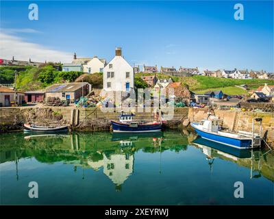 Le port du petit village de pêcheurs de St Abbs, dans la région des frontières écossaises. Banque D'Images