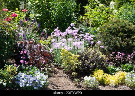 Stoke Poges, Royaume-Uni. 29 juin 2024. Les terrains de Stoke Park, Stoke Poges, Buckinghamshire. Crédit : Maureen McLean/Alamy Banque D'Images