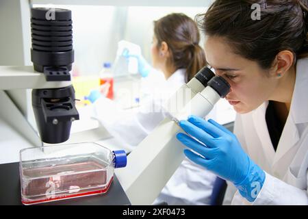 Salle de culture cellulaire, observation des cultures cellulaires au microscope inversé, laboratoire de biotechnologie, zone de santé, Parc technologique d'Alava, technologie C. Banque D'Images