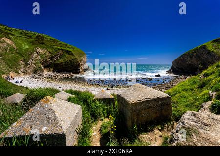 Pondfield Cove sur les Lulworth Ranges près du village abandonné de Tyneham, Dorset, Angleterre. Banque D'Images