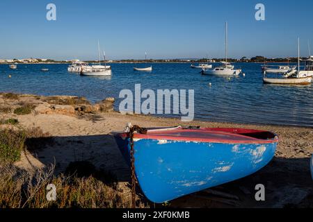 Estany des Peix, Formentera, Iles Pitiusa, Communauté des Baléares, Espagne. Banque D'Images