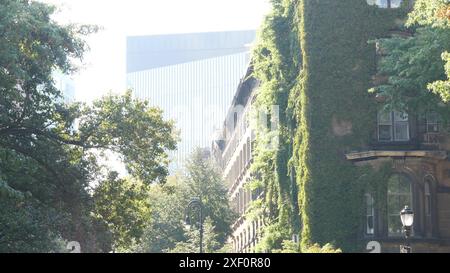 Architecture de bâtiment classique de New York City. Extérieur de coin de maison résidentielle urbaine. Immobilier, États-Unis. Usine de lierre couverte de façade verte typique. Jardin mural sur la rue Stuyvesant. Grimpeur de vigne. Banque D'Images