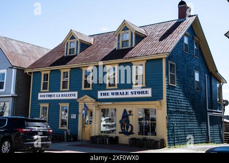 Le magasin de baleines sur la rue Water au centre-ville, produit Andrews, Nouveau-Brunswick, Canada Banque D'Images