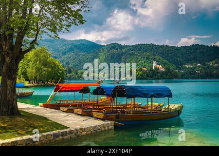 Bateaux Pletna ancrés sur le lac. Bateaux à rames Pletna en bois et église traditionnelle en arrière-plan sur la petite île, Bled, Slovénie, Europe Banque D'Images