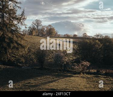 Promenades dans le parc national de Snowdonia Banque D'Images