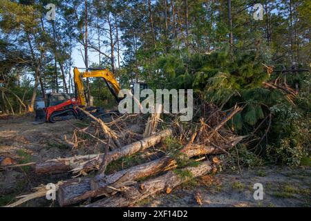L'habitat forestier indigène détruit pour la construction de nouveaux logements dans le centre-nord de la Floride Banque D'Images