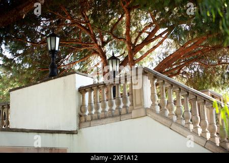 Beau pont sur l'étang avec lampes à gaz et arbres. Banque D'Images