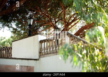 Beau pont sur l'étang avec lampes à gaz et arbres. Banque D'Images