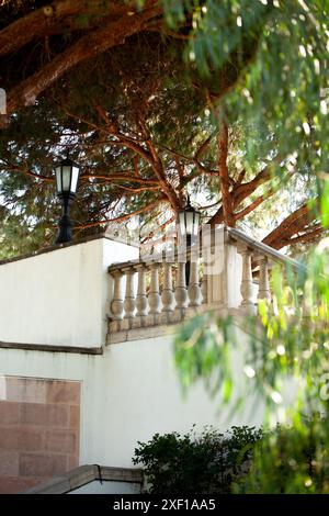 Beau pont sur l'étang avec lampes à gaz et arbres. Banque D'Images