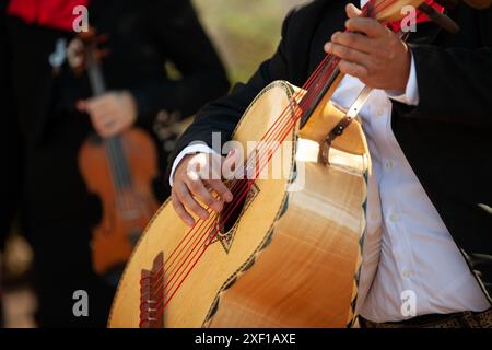 Gros plan de guitarrron - instrument national mexicain mariarchi band Banque D'Images