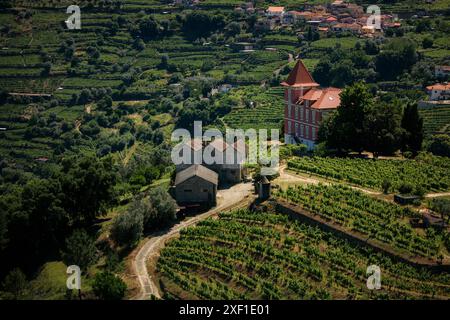 Maisons portugaises parmi les vignobles dans la vallée du Douro. Portugal. Banque D'Images