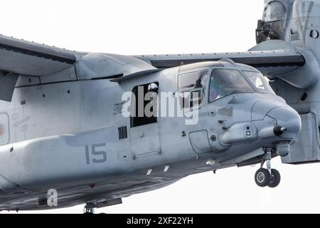 U.S. Marines et British Royal Navy Lt. Cmdt. Barry Barkey avec Marine Medium Tiltrotor Squadron 365 (renforcé), 24th Marine Expeditionary Unit (MEU) Special Operations capable (SOC), se prépare à atterrir un Tiltrotor MV-22B Osprey sur le navire d'assaut amphibie USS Wasp (LHD 1) lors d'opérations de vol de routine en mer Méditerranée, le 28 juin 2024. Le Wasp Amphibious Ready Group-24th MEU (SOC) mène des opérations dans la zone d'opérations des forces navales américaines en Europe pour soutenir des exercices de combat de guerre haut de gamme tout en faisant preuve de vitesse et d'agilité opérant dans un secu dynamique Banque D'Images