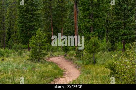 Paysage rocheux pittoresque dans le Staunton State Park, Colorado Banque D'Images