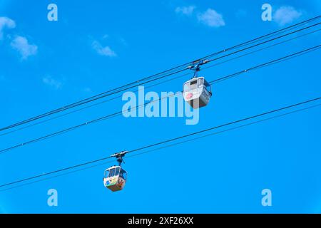 Le téléphérique du Rhin, Rhein-Seilbahn de l'autre côté du Rhin relie le quartier de Cologne de Deutz avec le zoo de l'autre côté Banque D'Images