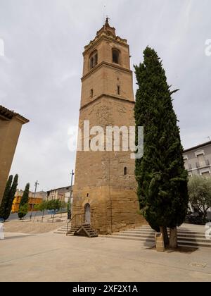 Cathédrale de Barbastro Huesca. Somontano Huesca. Cathédrale Santa María de la Asunción de Barbastro. Cathédrale gothique Banque D'Images